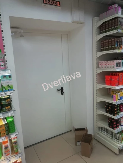 Двупольная противопожарная светлая дверь